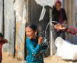 طقس فلسطين - أجواء حارة