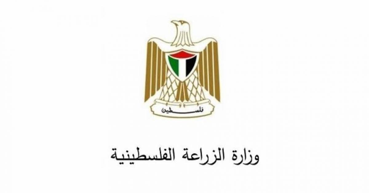 05:22 م الزراعة تحصن أكثر من 14 ألف رأس ماشية ضد الحمى القلاعية