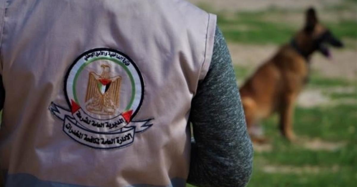 غزة: إحباط محاولة تهريب مواد مخدرة برفح
