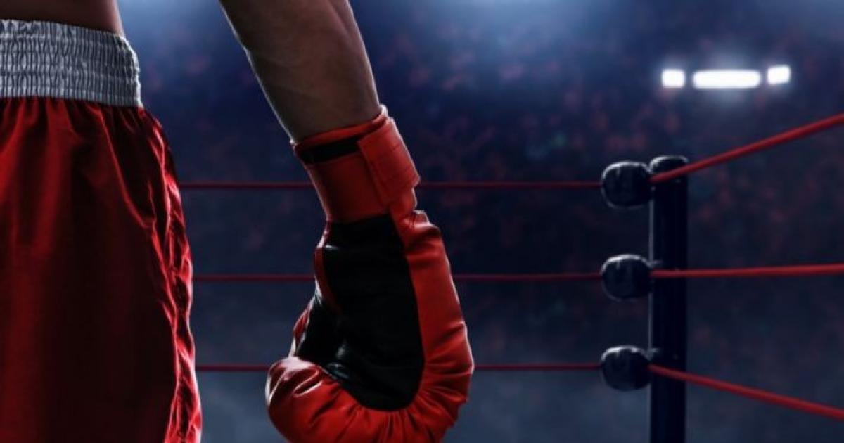 بالفيديو: حكم يتلقى ضربة قوية من أحد الملاكمين