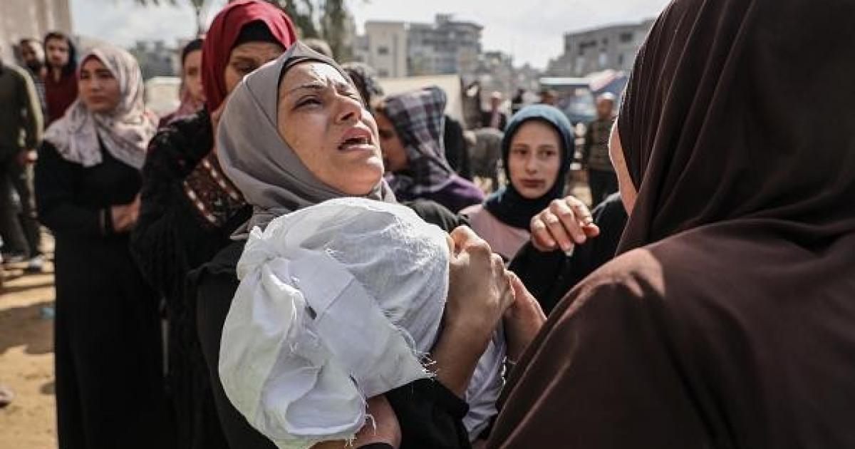 11:44 ص غزة: 7 شهداء و28 إصابة خلال 48 ساعة وارتفاع حصيلة العدوان