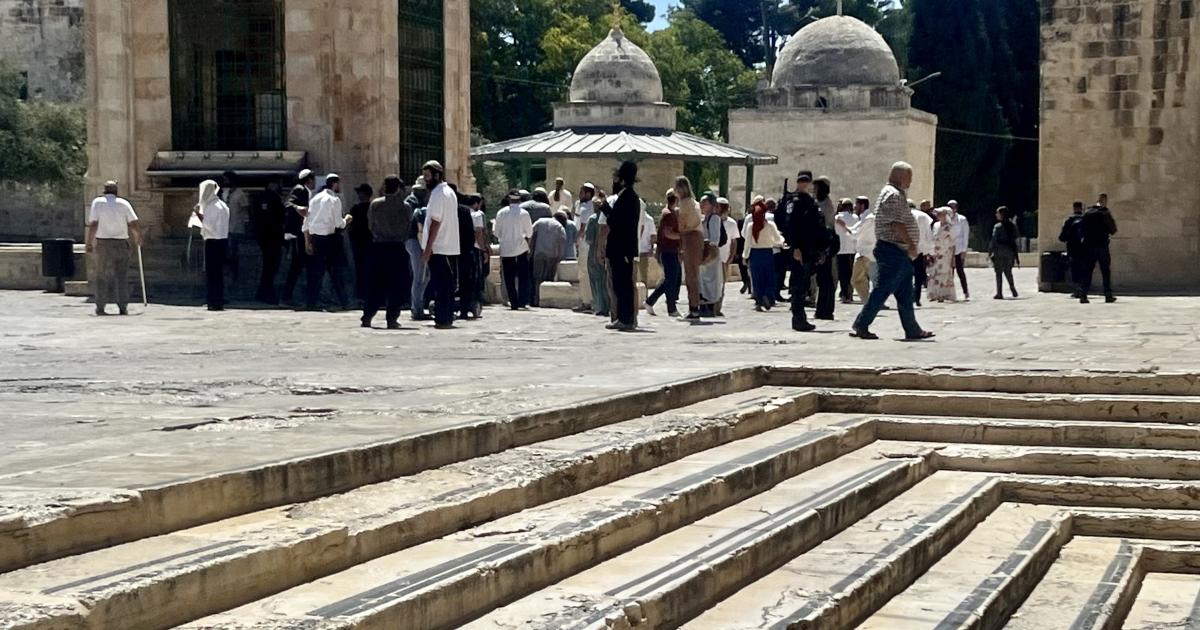 01:28 م مستوطنون يقتحمون المسجد الأقصى