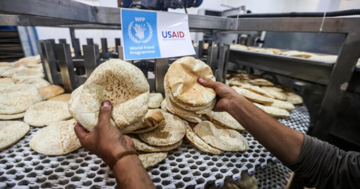 برنامج الأغذية العالمي يخطط لإنهاء دعم الخبز في غزة