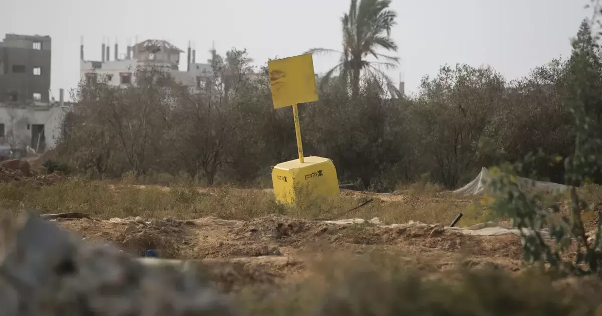 01:28 ص إسرائيل تعلن قتل 4 فلسطينيين في غزة