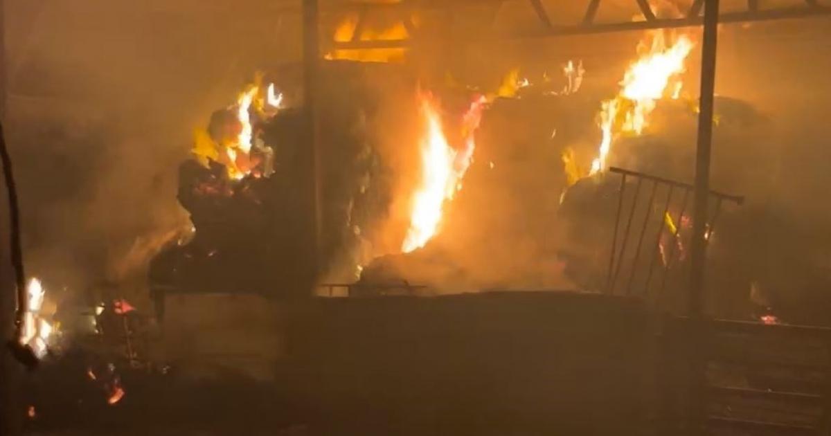 09:41 ص مستوطنون يحرقون خياما في منطقة الميتة بالأغوار الشمالية