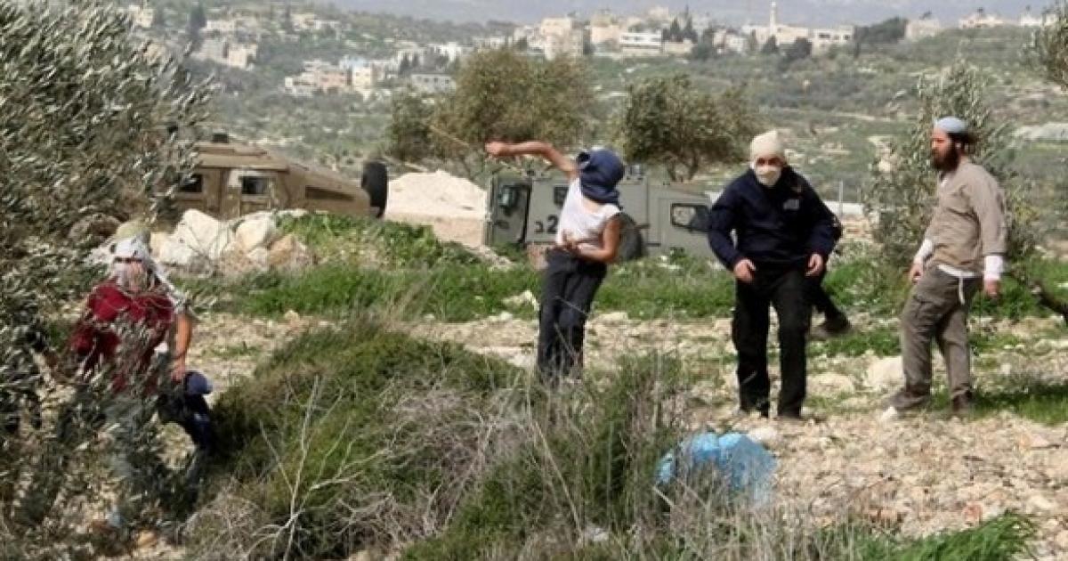 مستوطنون يصيبون مواطنا ويحتجزونه مع آخرين جنوب نابلس