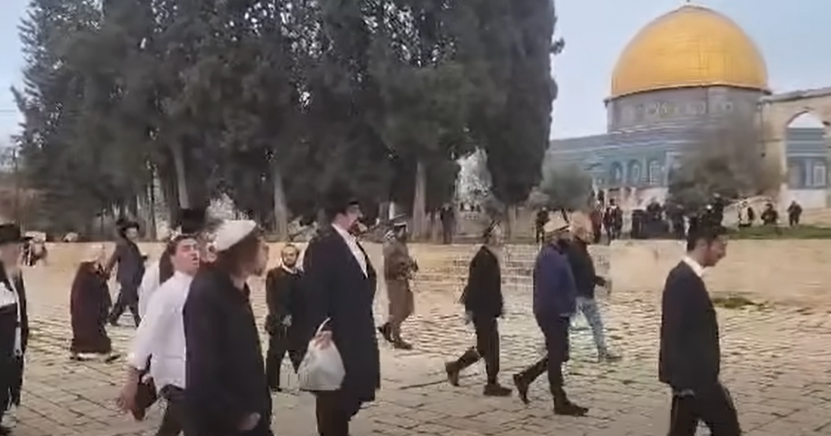 مستوطنون يقتحمون "الأقصى" وسط تمديد غير مسبوق لساعات الاقتحام