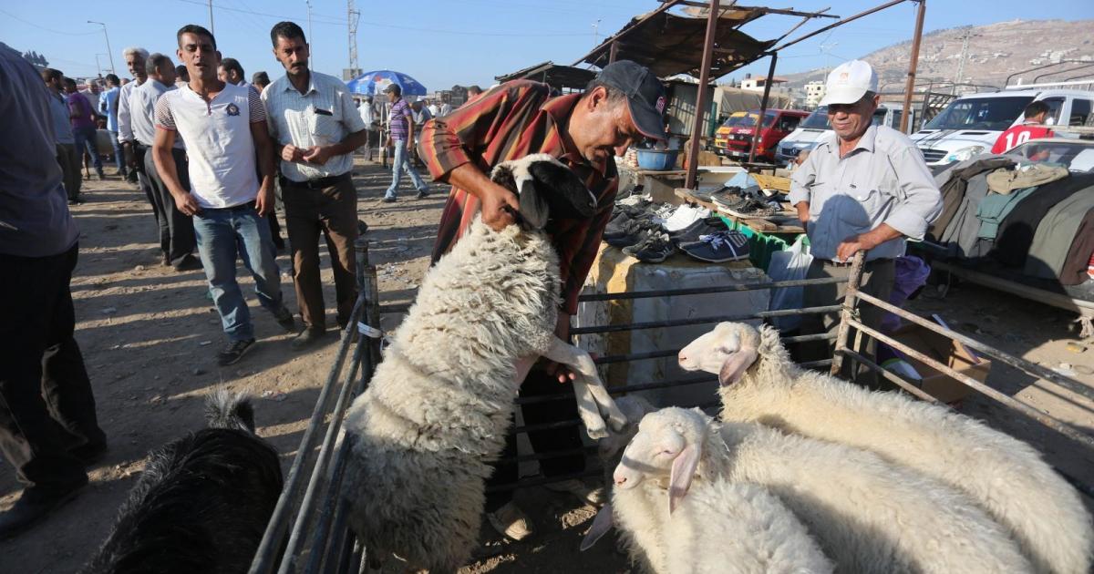 غزة بلا أضاحي للعام الثالث بسبب الحرب والحصار الإسرائيليين
