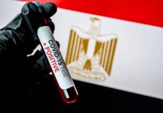 مصر تستعد لمواجهة أقسى شهرين في جائحة كورونا -توضيحية-