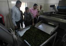  معاصر الزيتون 