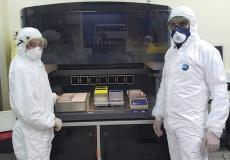 فيروس كورنا