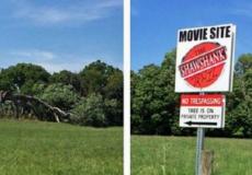 سقطت الشجرة التي أصبحت مزارا لمحبي الفيلم في مانسفيلد في أوهايو