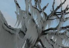 شاهد: أمطار متجمدة في روسيا