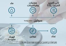 صورة توضيحية لمكونات الوجبة الغذائية