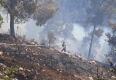 السيطرة على حريق اشجار زيتون