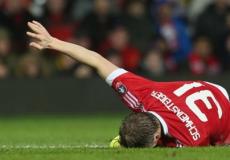 شفاينشتايغر على الأرض