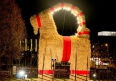 تعد عنزة عيد الميلاد العملاقة رمزا وتقليدا اسكندنافيا