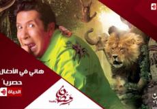 لقطة توضيحية