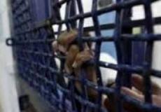 سجون الاحتلال