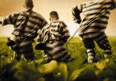 الهروب من السجن