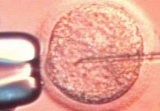 قال المركز إن الخطأ يعود إلى أسباب إجرائية