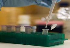 الحمض النووي