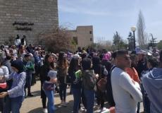 شجار بيرزيت