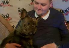 وفاة كلب حزناً على موت صاحبه