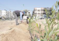 بلدية غزة تزرع 3700 شتلة خلال إبريل