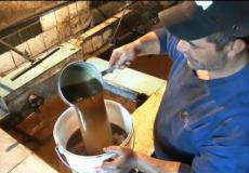 تنتج بجاية أجود أنواع زيت الزيتون في الجزائر