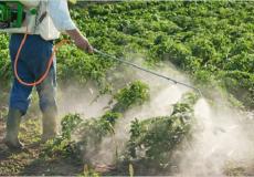 مبيدات زراعية - صورة تعبيرية