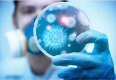 علماء بريطانيون يحددُون 6 أنواع من إصابات كورونا