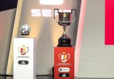 كأس ملك إسبانيا