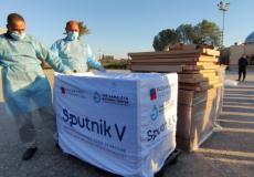 شحنة لقاحات كورونا التي وصلت إلى غزة اليوم الأحد