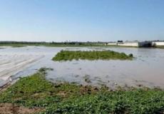 الاحتلال يغرق الأراضي الزراعية شرق غزة