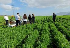 قتيلين بتحطم طائرة شمال إسرائيل