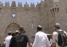 مستطنون في الأقصى