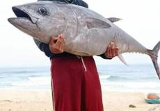 صياد غزي يصطاد سمكة التونة