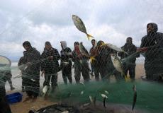 زراعة غزة تكشف كمية الأسماك التي تم اصطيادها بعد المنخفض الأخير