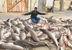 الصياد خالد اللحام