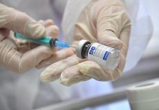 لقاح - صورة تعبيرية