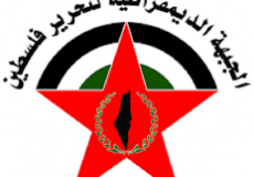 الجبهة الديمقراطية لتحرير فلسطين.png