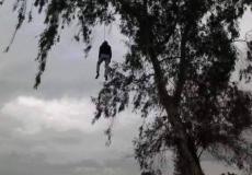 حالة سخط بعد انتحار بدون في الصليبية بالكويت