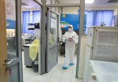 كورونا فلسطين