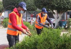 بلدية غزة تبدأ بتنفيذ مشروع لزيادة المساحات الخضراء وتقليم الأشجار