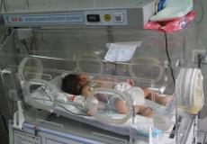 مواليد قطاع غزة