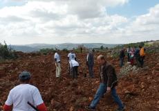 زراعة الأشجار إحياء ليوم الأرض