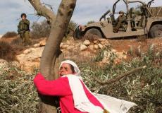 صورة ارشيفية