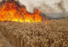 استمرار اندلاع الحرائق في غلاف غزة بفعل البالونات الحارقة