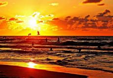 فصل الصيف في فلسطين- تعبيرية